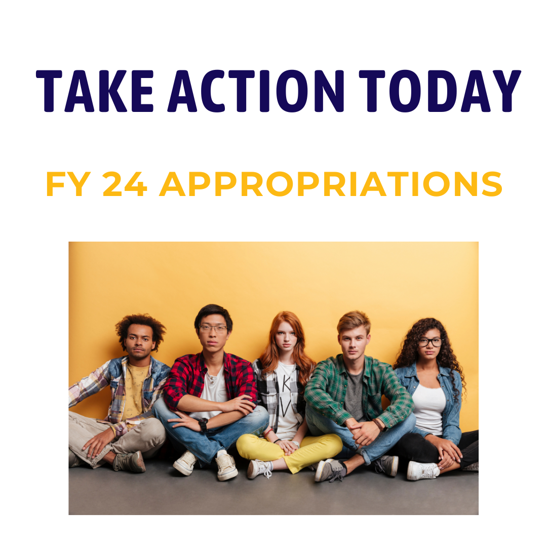 Take Action Center National Network for Youth