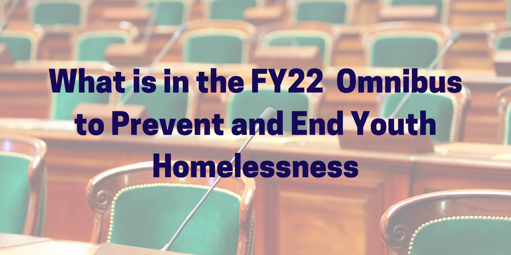 What is in the FY22 Omnibus to Prevent and End Youth Homelessness (1)
